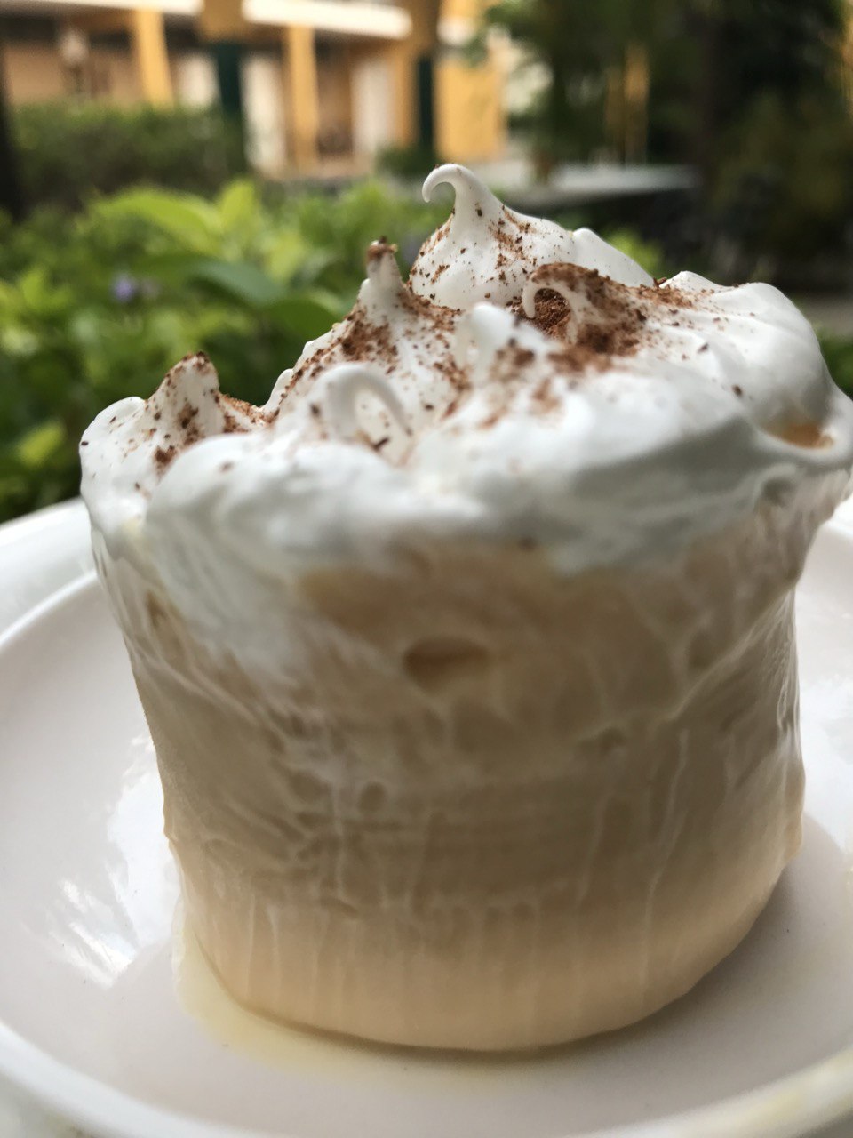 DULCE DE PALETA CARORENO